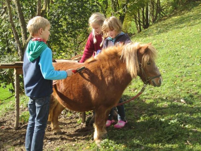 Bio Ferienbauernhof Greber Farm stay