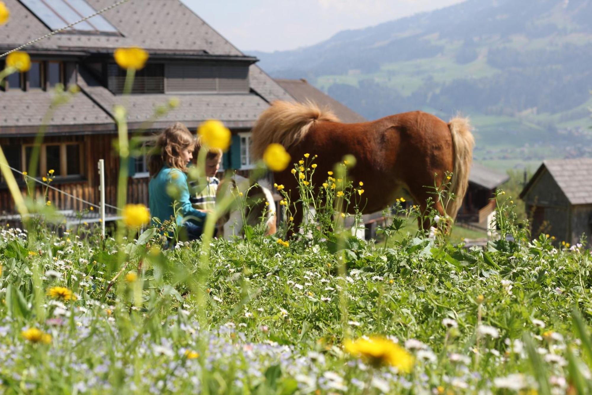Bio Ferienbauernhof Greber Farm stay *